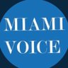 Profilbild von THE MIAMI VOICE