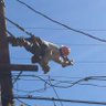 Фото профиля Tramping lineman