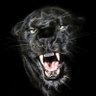 Profilbild von Pantera Negra