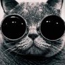 X-CAT's profile picture