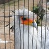 kkcon profil fotoğrafı