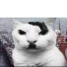 ovenjoododger 的头像