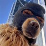 Patricio Huntinho's profile picture