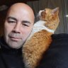 @GusStucchi profil fotoğrafı