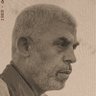 أحمد غالب 的头像