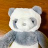 君島's profile picture