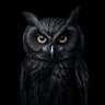 Balasunder's profile picture