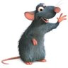 Profilbild von stepenodo