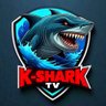 Kizer Sin's profile picture