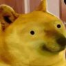°Anonimouxx's profile picture