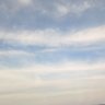 浑身 的头像