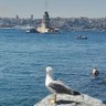 Sıraç Körsu profil fotoğrafı