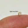 L profil fotoğrafı