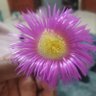 Vutomi profil fotoğrafı