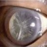 Profilbild von ?
