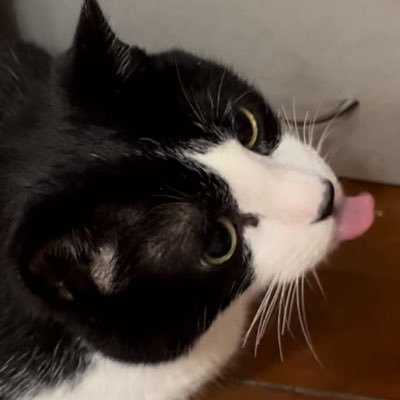Veroq77's profile picture
