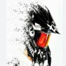 Munanto's profile picture