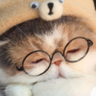 Profilbild von AnK xD