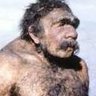 Profilbild von pophanes