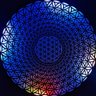 NUGZ Medallion profil fotoğrafı