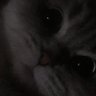 Muhammed Yagiz's profile picture