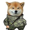 patiently parsing ✚ dvodvo in the azur's profile picture