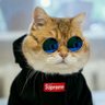 Slaiqe ヤ's profile picture