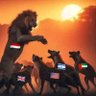 Фото профиля صنعاء بعيدة