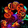 ♠️♥️Jib_Loger♦️♣️ (SCP brainrot arc)'s profile picture