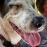 Profilbild von Topher