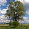 Фото профиля Krzysztof