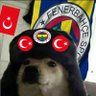 Tarık's profile picture