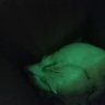 ذا وذاك 的头像