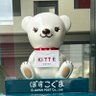 Profilbild von よりんた