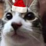 🎆un random🎄🗣‼️ profil fotoğrafı