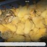 newsetter profil fotoğrafı