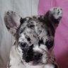 Profilbild von Nico