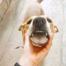 Фото профиля ยูโร🐶😼