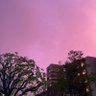 Фото профиля Pink Sky