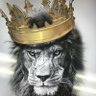 Troop ๐๐ฆ's profile picture