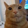 Profilbild von Riff