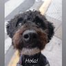skiti profil fotoğrafı