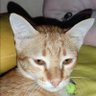 Фото профиля หนุ่มสุพรรณ ฝันหวาน