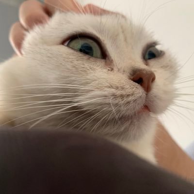 maple2491's profile picture
