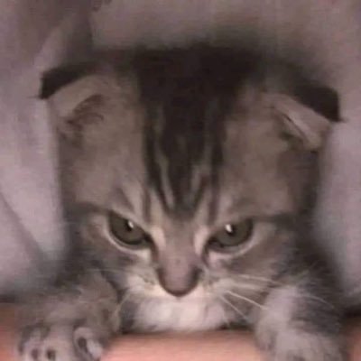 Suxenbnwo's profile picture