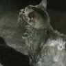 Profilbild von eyram24 zepol