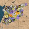 Фото профиля عبدالحكيم السوري
