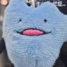いぬきち's profile picture