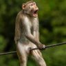 youcai profil fotoğrafı