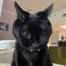 Profilbild von nathan
